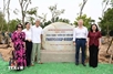Friendship tree campaign promotes green growth, international solidarity